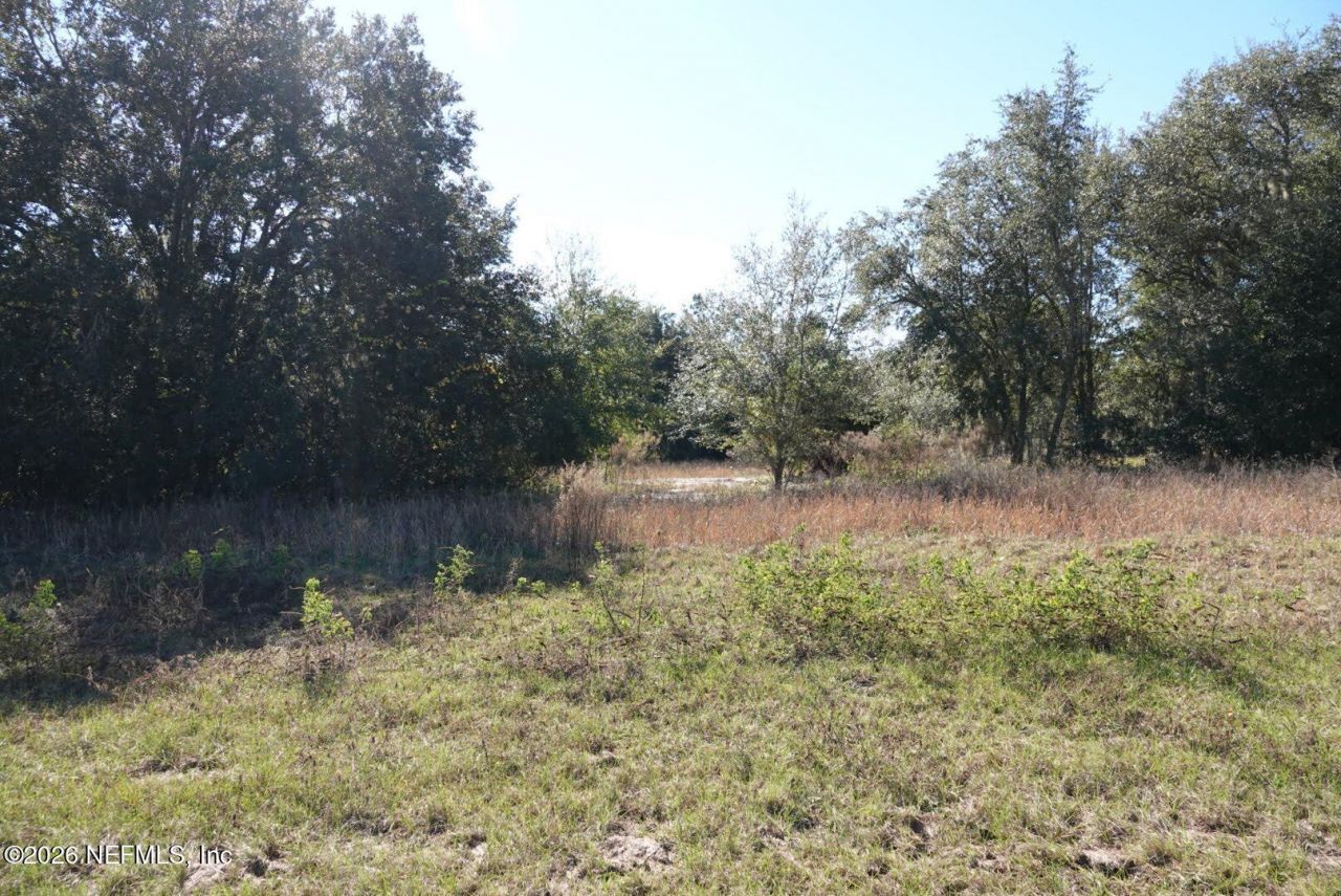 525 Raulerson Road, Seville, FL 32190 Photo