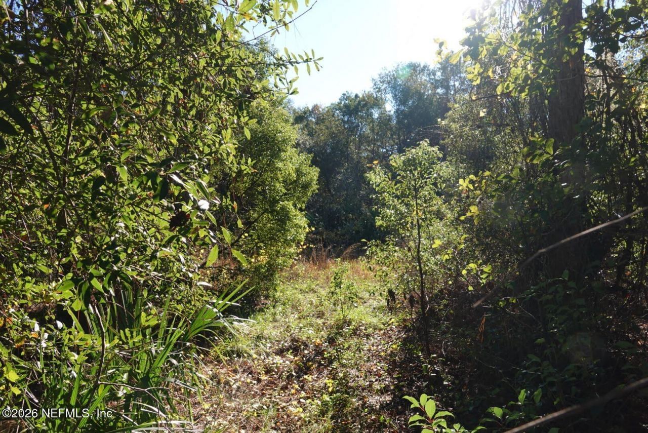 525 Raulerson Road, Seville, FL 32190 Photo