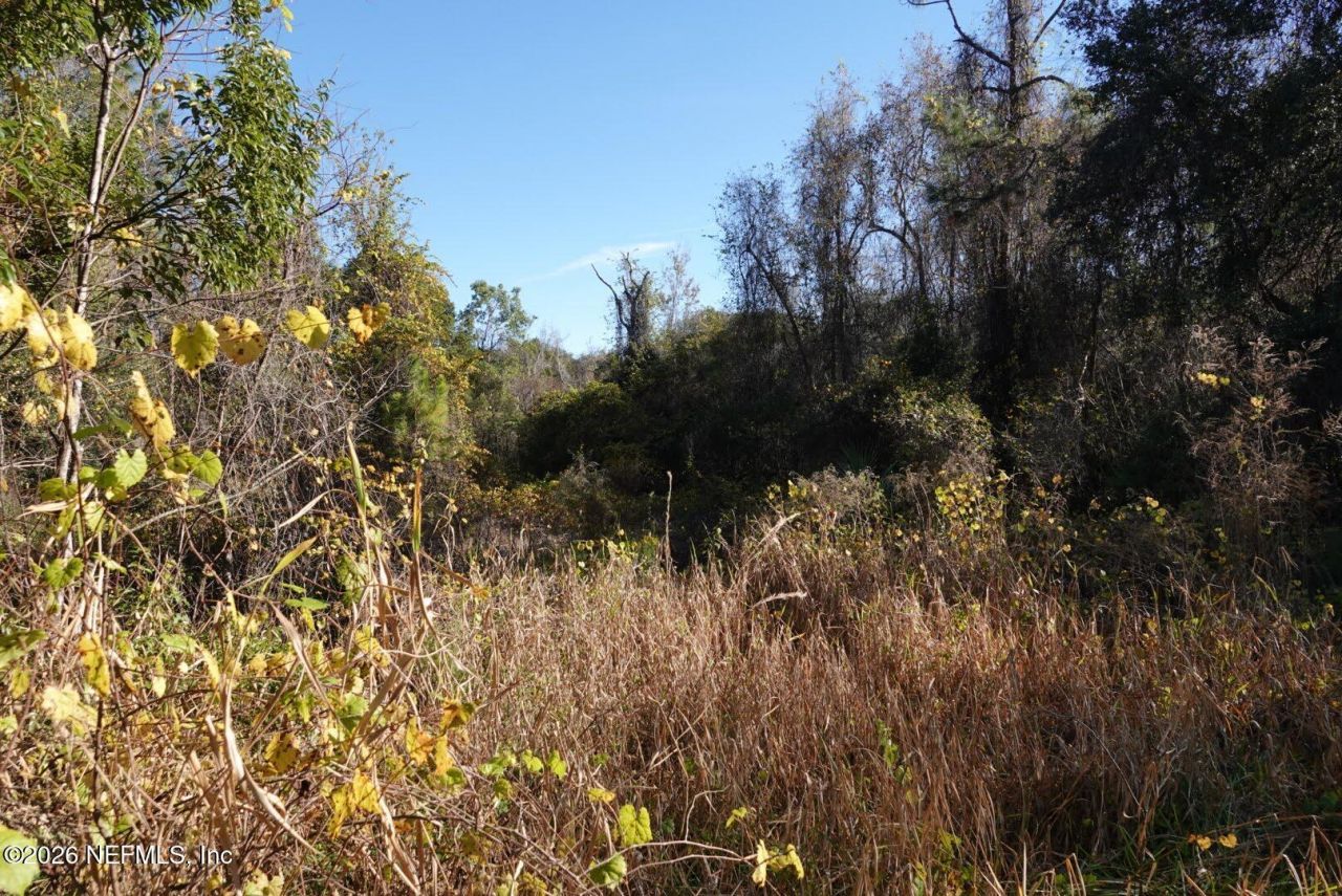 525 Raulerson Road, Seville, FL 32190 Photo