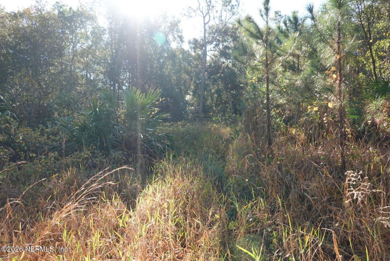 525 Raulerson Road, Seville, FL 32190 Photo