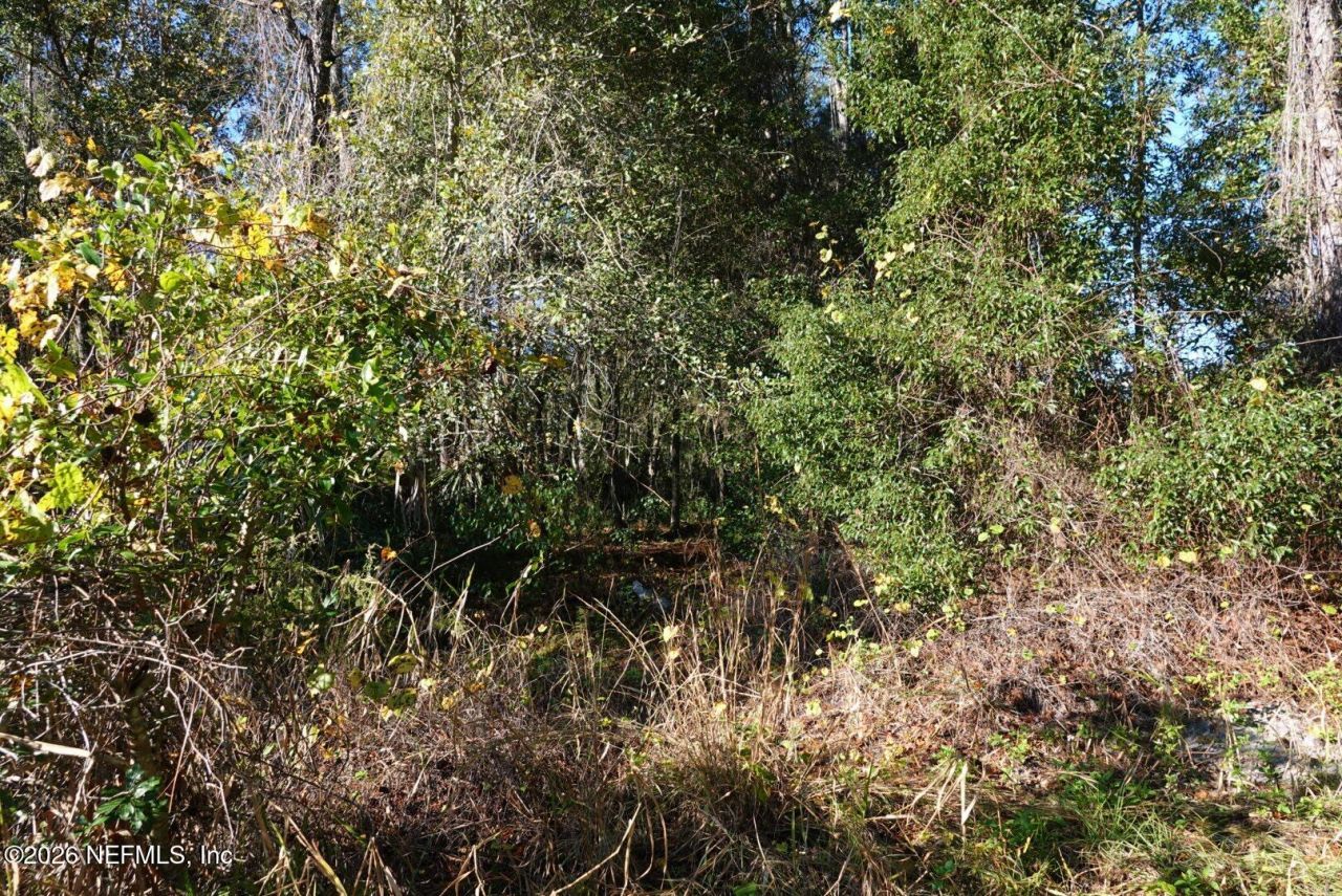 525 Raulerson Road, Seville, FL 32190 Photo