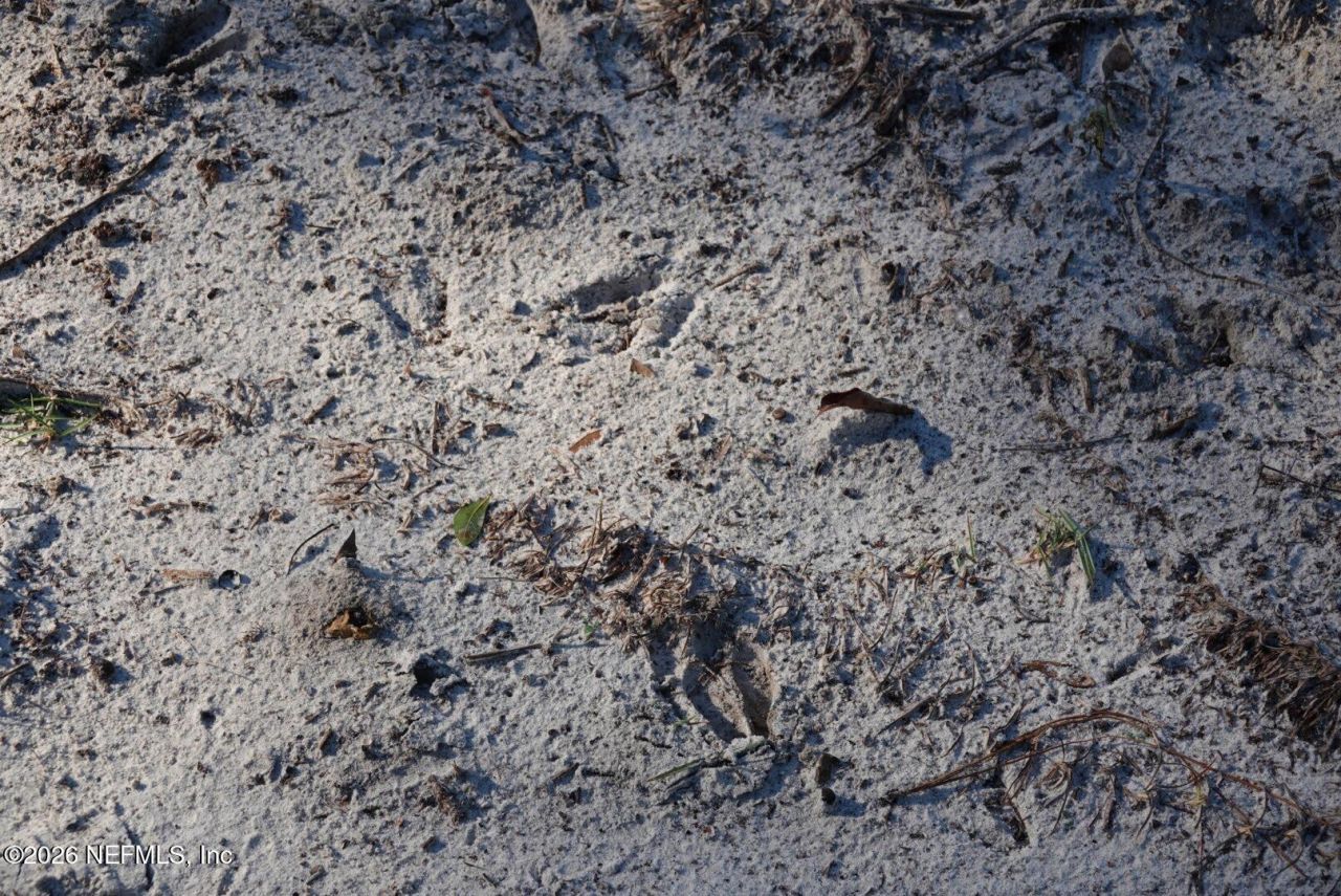 525 Raulerson Road, Seville, FL 32190 Photo