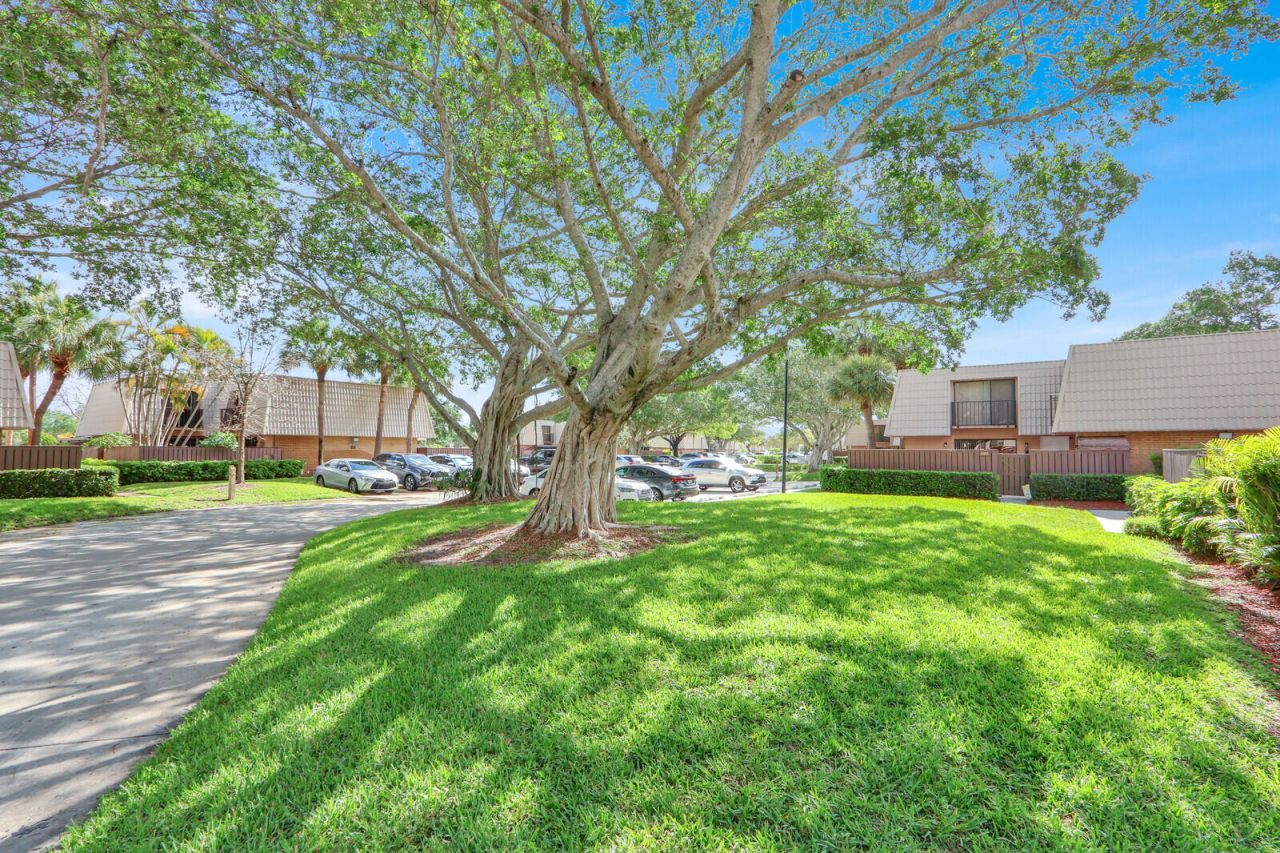 6605 66th Way, West Palm Beach, FL 33409 Photo