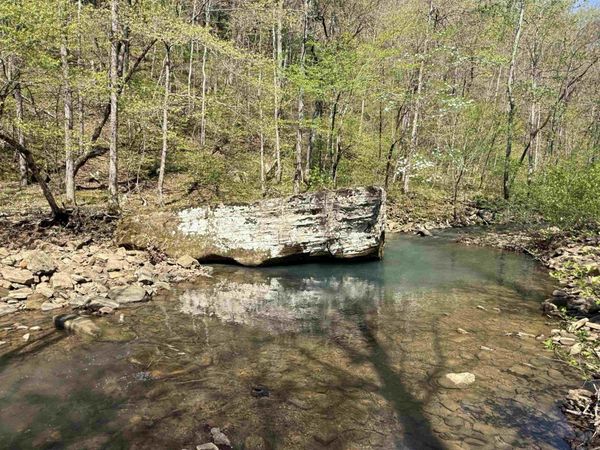 000 Jenkins Road, Clinton, AR 72031