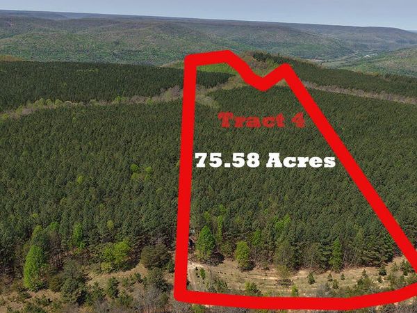 0 Sherwood Rd Off, South Pittsburg, TN 37380