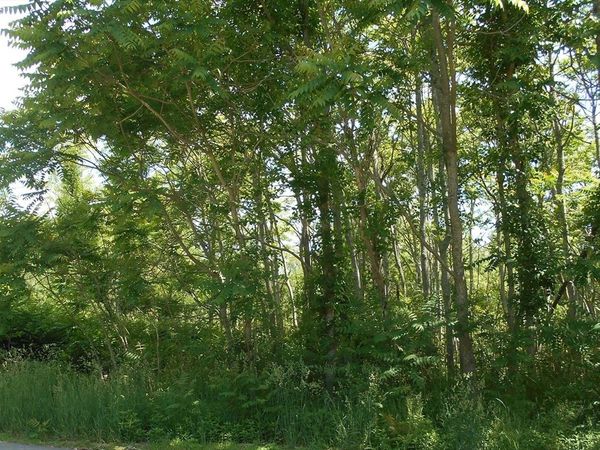 21 Papermill Road, Wareham, MA 02576