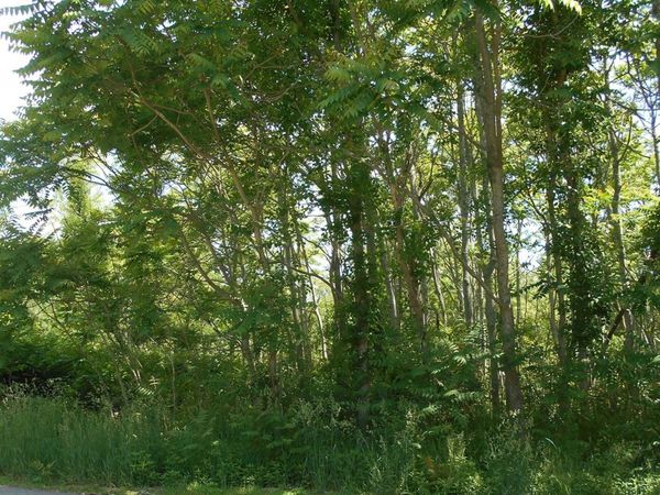 21 Papermill Road, Wareham, MA 02576