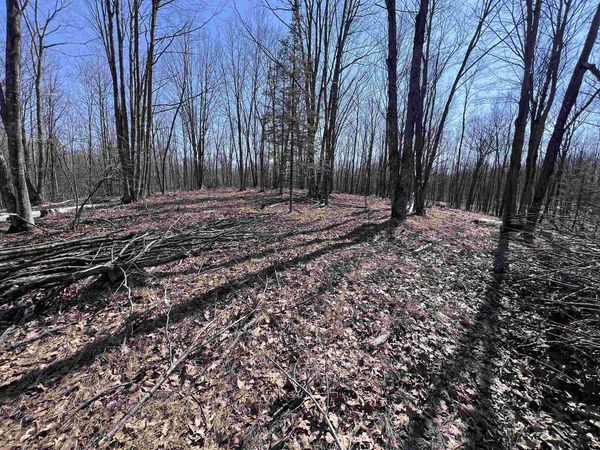 RHETT LANE, Wausaukee, WI 54177