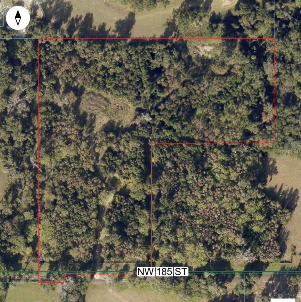 0 NW 185th Street, Citra, FL 32113 Photo