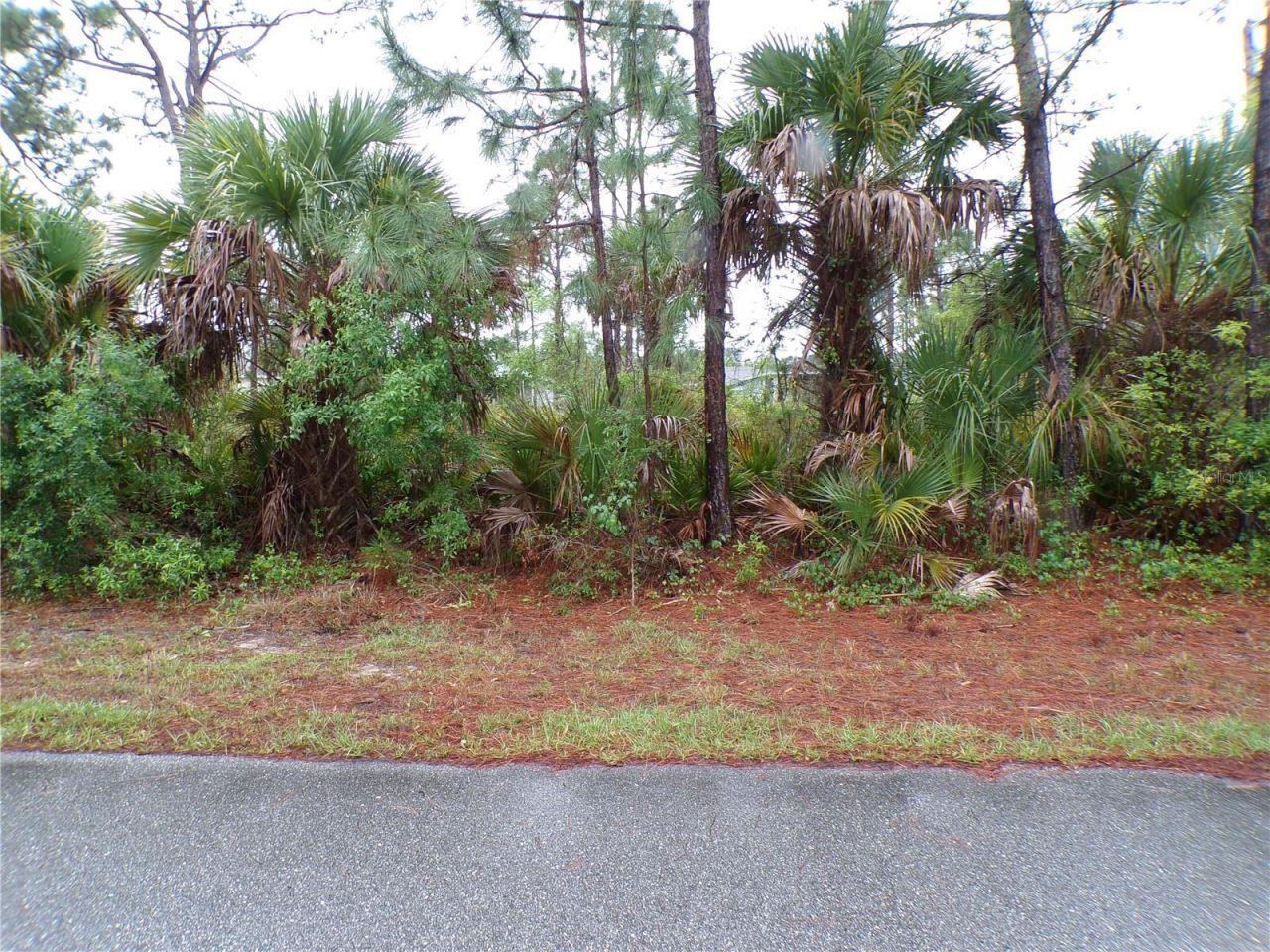 14299 Harcourt Avenue , Port Charlotte, FL 33953 Photo