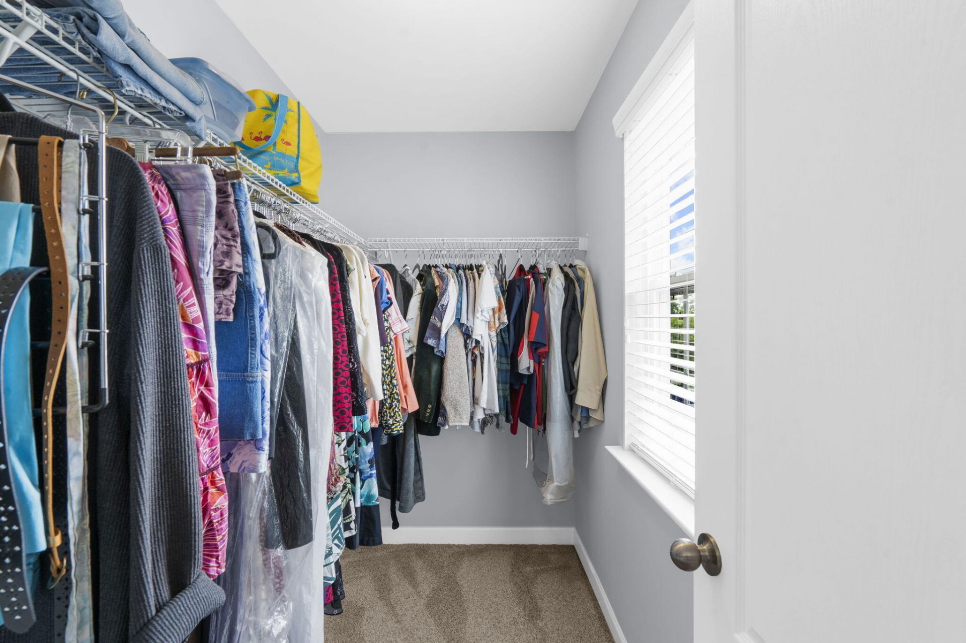 3616 Haymont Lane Photo 29