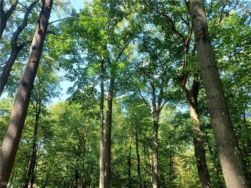 695 S Hubbard Road, Lowellville, OH 44436 Photo 2