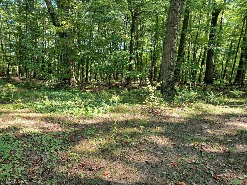 695 S Hubbard Road, Lowellville, OH 44436 Photo 5