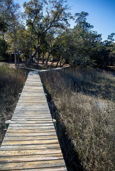 715 Ramshorn Lane Photo 13