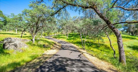 1991 Quartz Creek Ln, Placerville, CA 95667 Photo