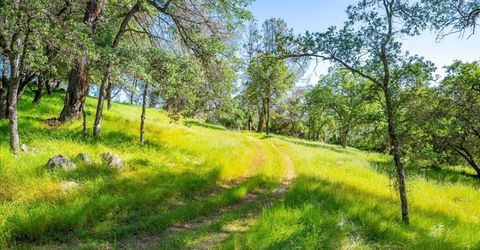 1991 Quartz Creek Ln, Placerville, CA 95667 Photo