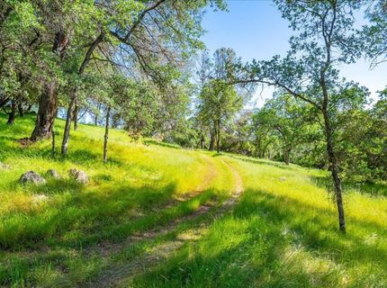 1991 Quartz Creek Ln, Placerville, CA 95667 Photo