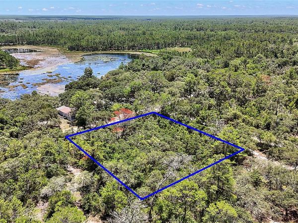 0 SE 197TH AVENUE , OCKLAWAHA, FL 32179