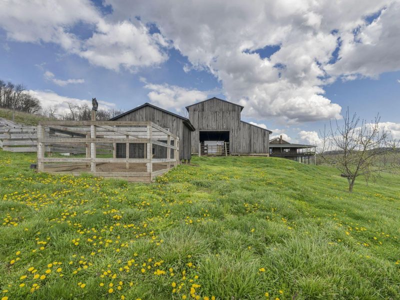 18513 Hobbler Lane, Lore City, OH 43755 Photo 42