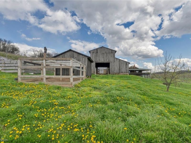 18513 Hobbler Lane, Lore City, OH 43755 Photo 42