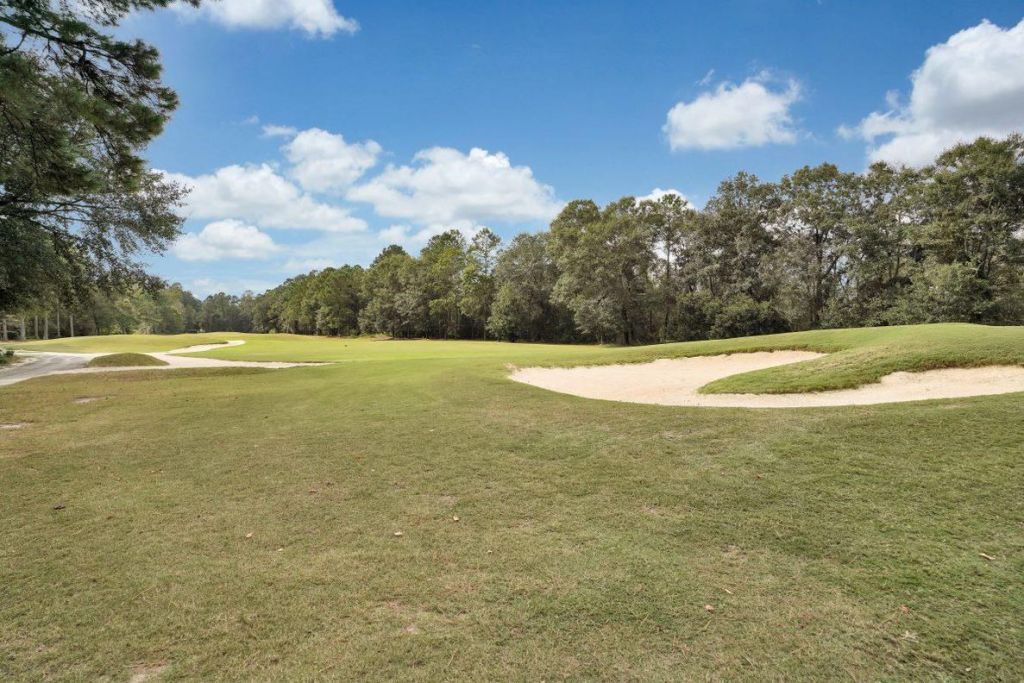 1064 Cherrystone Loop Photo 26