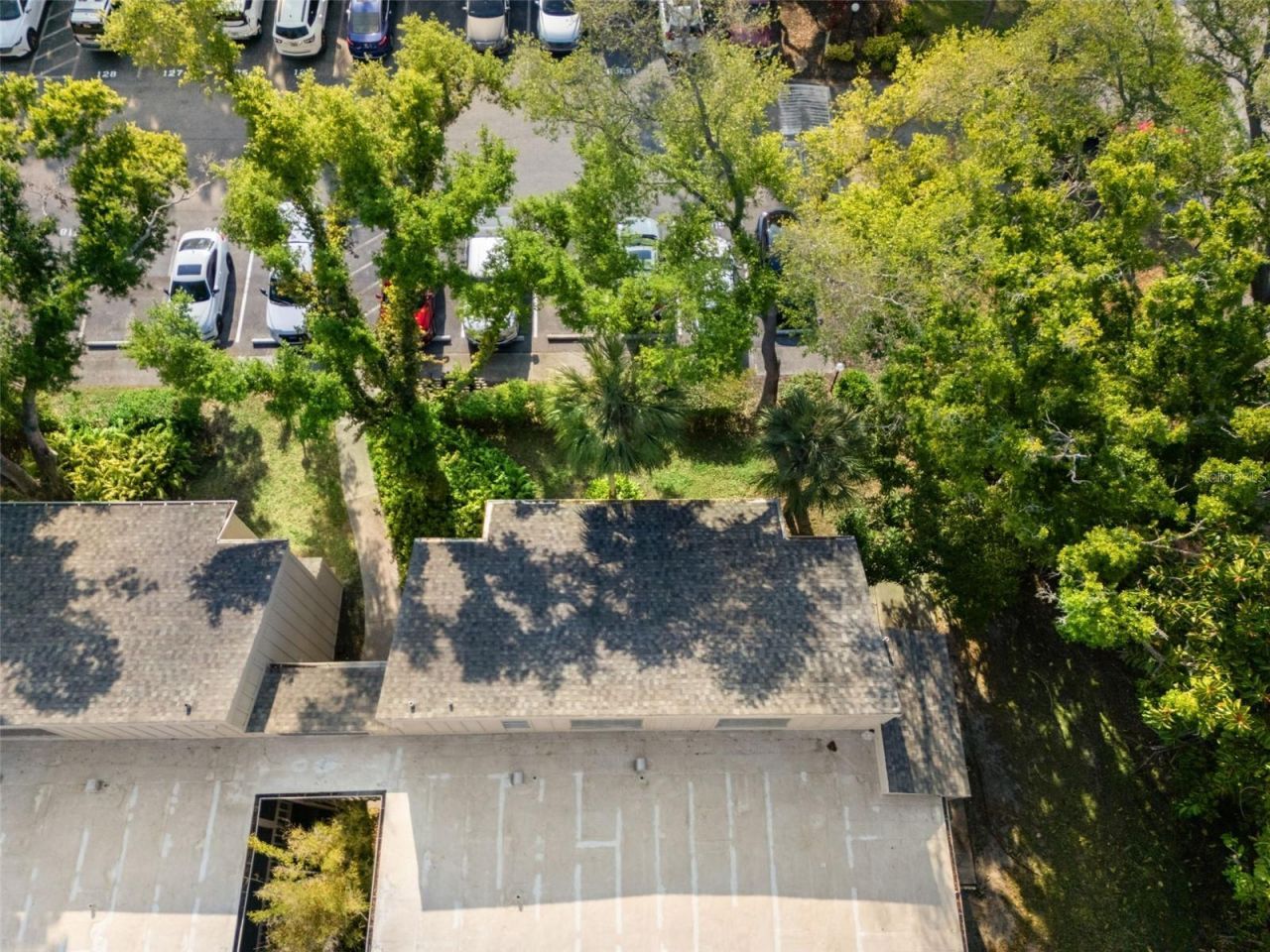 2232 Bahia Vista Street, Unit A1, Sarasota, FL 34239 Photo