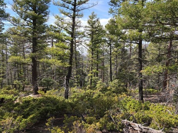 Lot 6070 Vreeland Road, San Luis, CO 81152