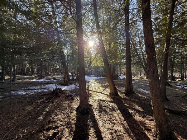 40 AC N Somers Road, Lincoln, MI 48742