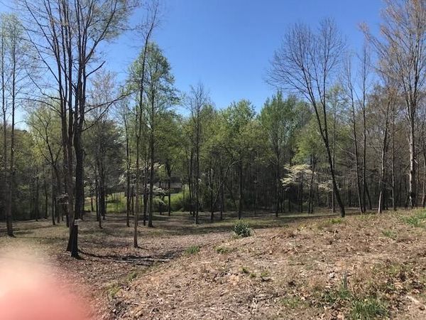 Lot 18 Piney View, Spring City, TN 37381