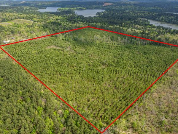 XXX Beech Dr. , Bismarck, AR 71921