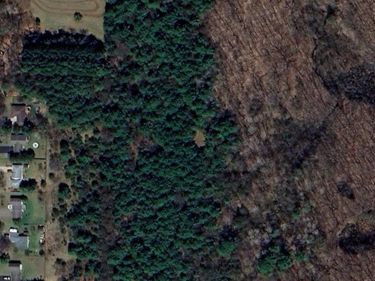 TBD Folsom Street, Shafer, MN 55074