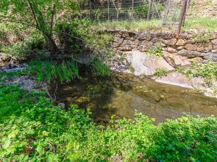 10621 Fleehart St, Amador City, CA 95601 Photo