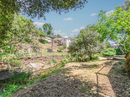 10621 Fleehart St, Amador City, CA 95601 Photo