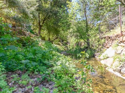 10621 Fleehart St, Amador City, CA 95601 Photo