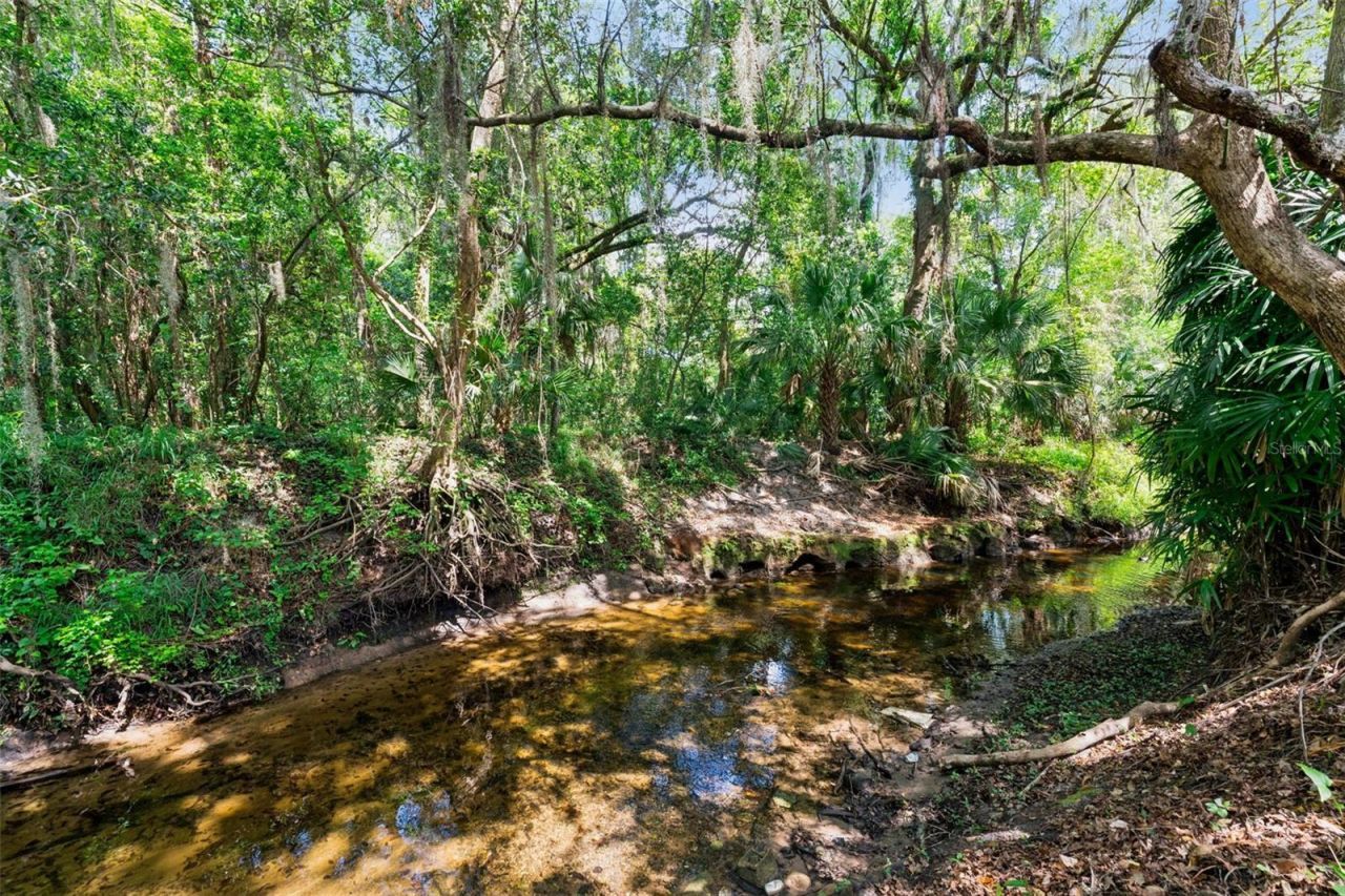 621 Little Wekiva Road , Altamonte Springs, FL 32714 Photo