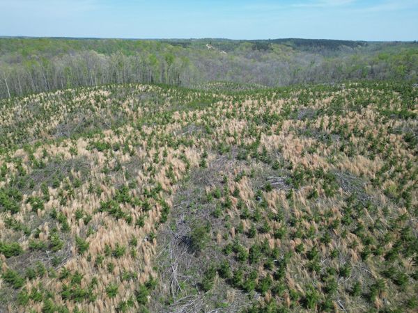 0C Waynesboro HWY, Waynesboro, TN 38485