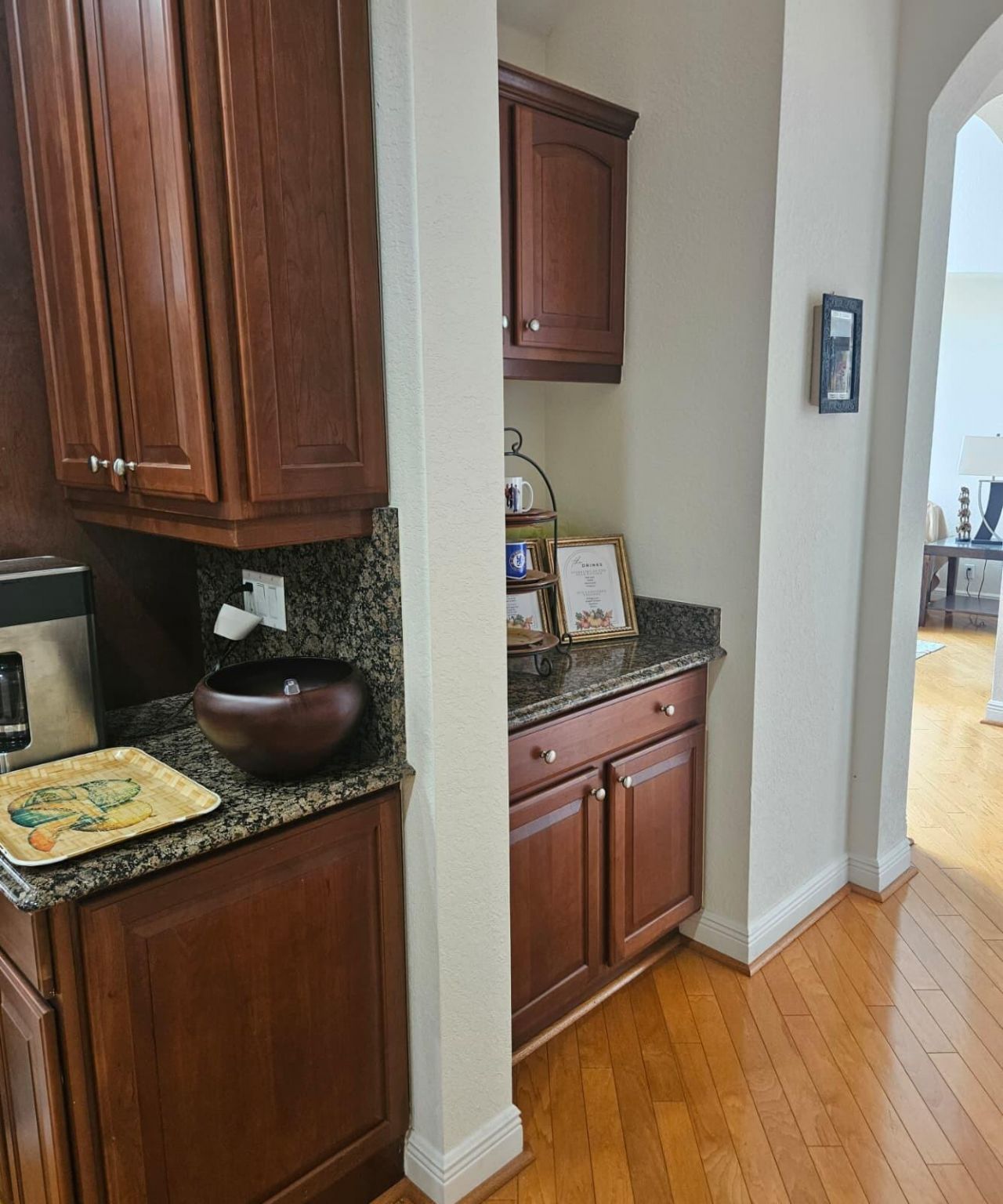 13382 Lakepointe Circle, Cooper City, FL 33330 Photo