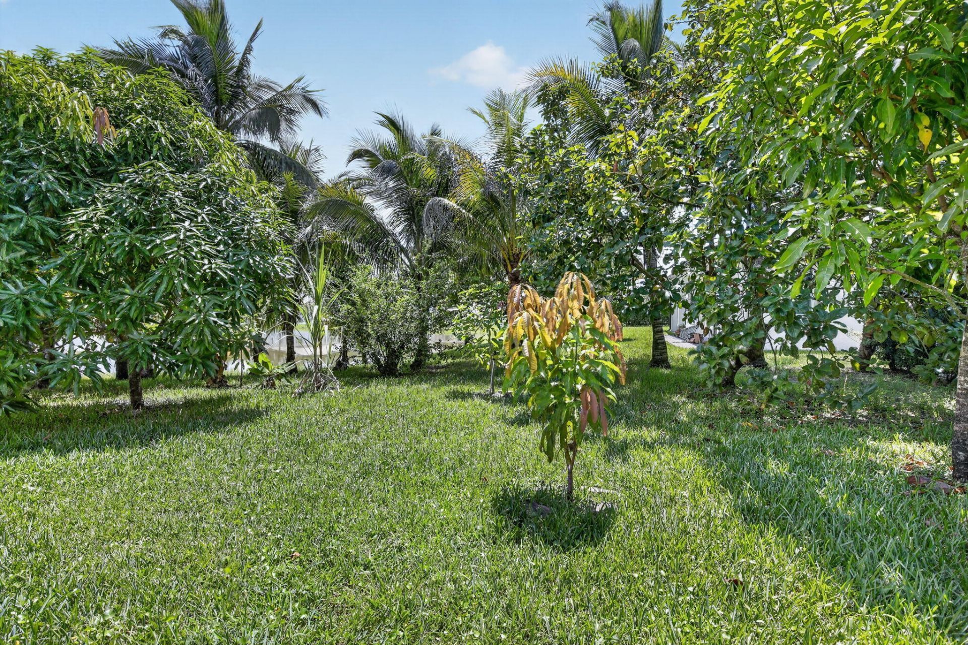 13382 Lakepointe Circle, Cooper City, FL 33330 Photo