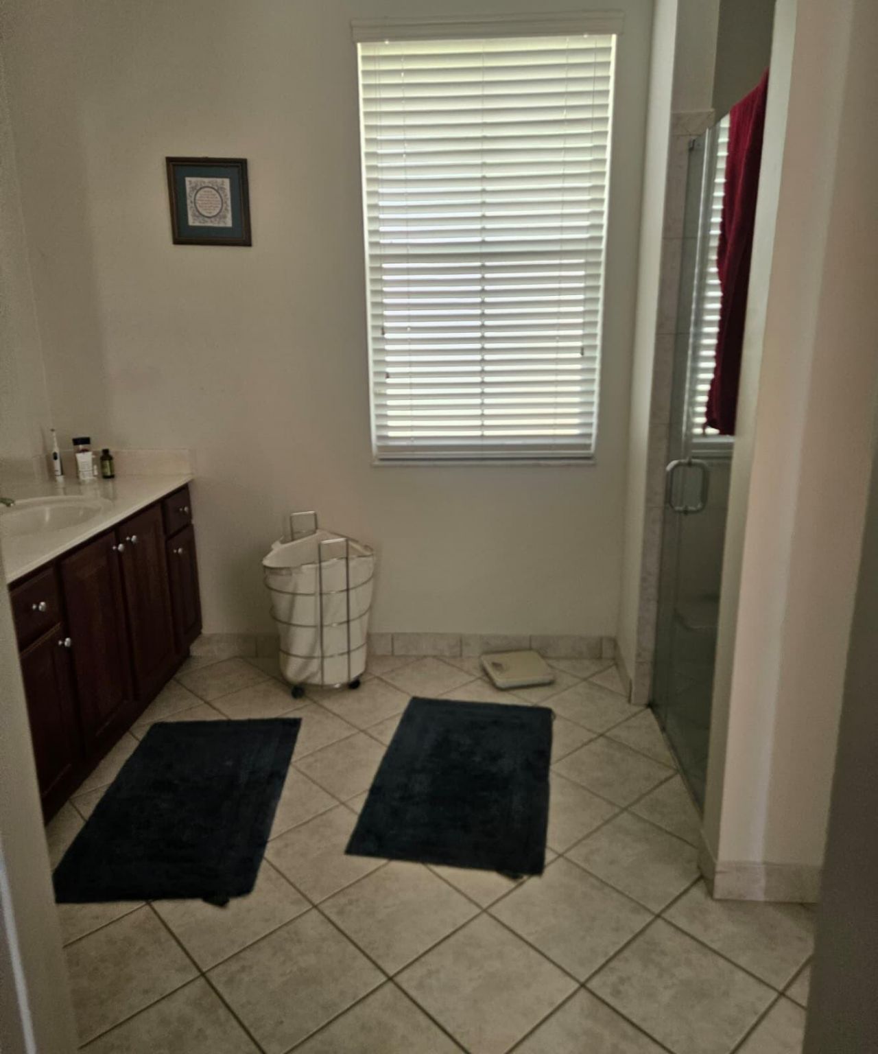 13382 Lakepointe Circle, Cooper City, FL 33330 Photo