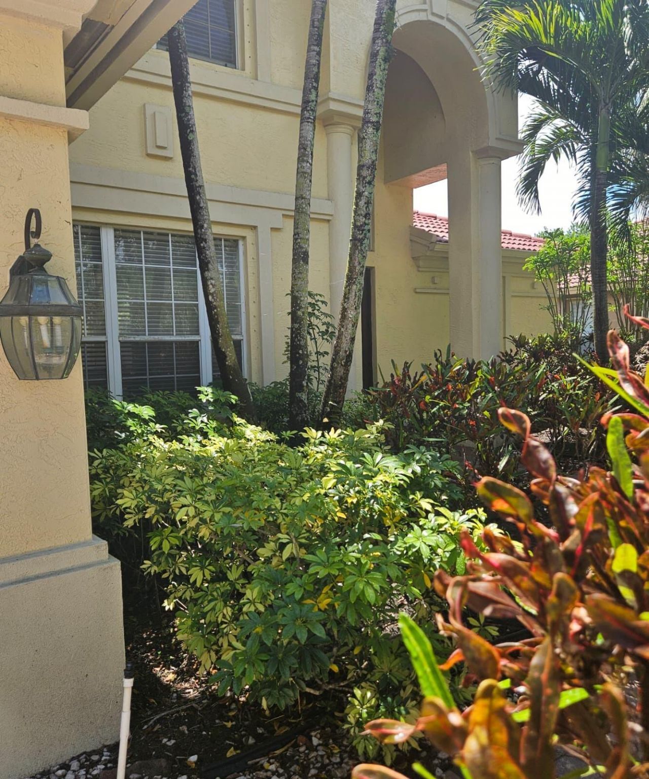 13382 Lakepointe Circle, Cooper City, FL 33330 Photo