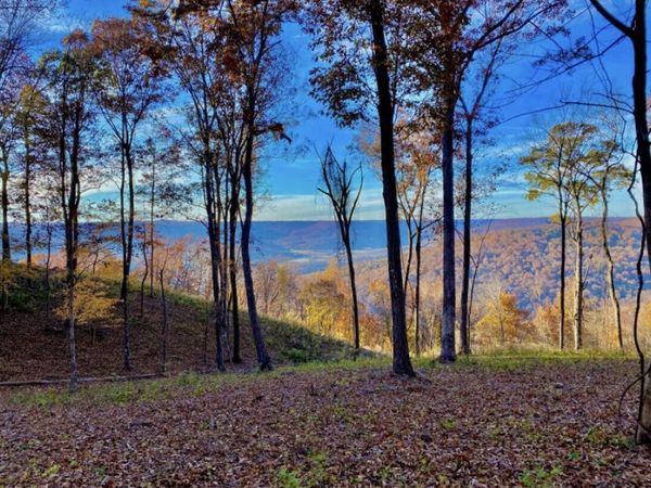 390 Volunteer Street , Jasper, TN 37347