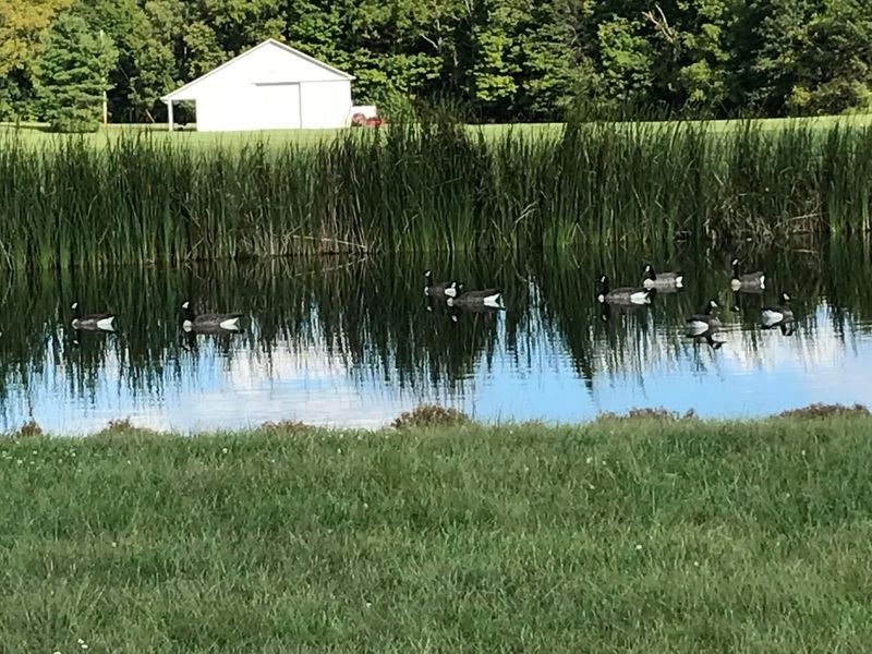 6775 Busey Road, Pickerington, OH 43147 Photo 45