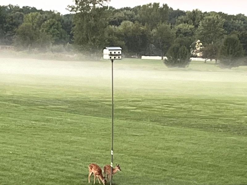 6775 Busey Road, Pickerington, OH 43147 Photo 48