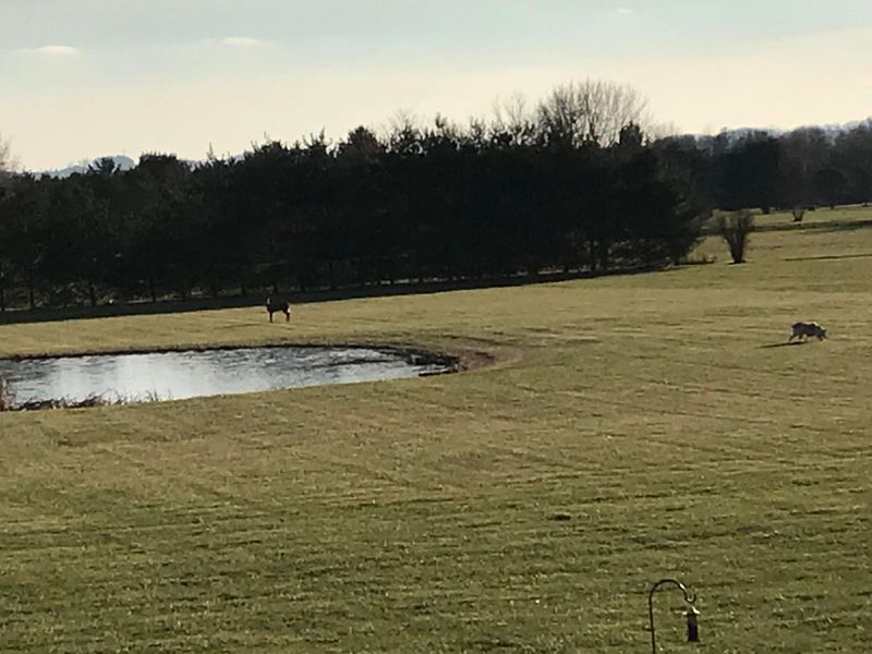 6775 Busey Road, Pickerington, OH 43147 Photo 55