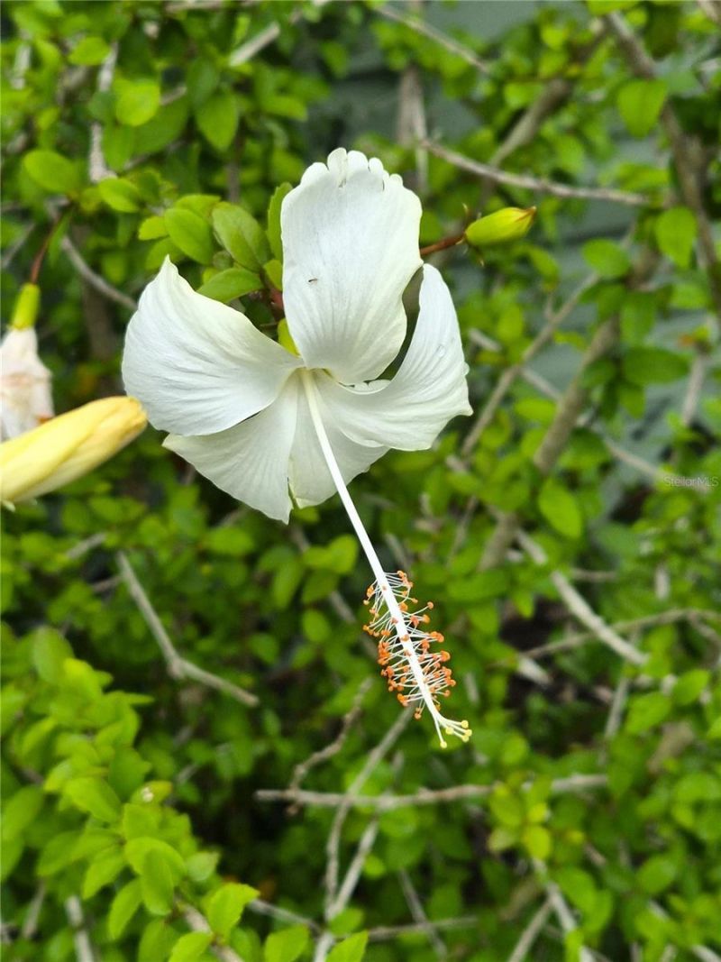 15322 Lime Drive , Punta Gorda, FL 33955 Photo