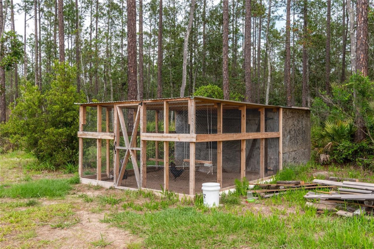 12655 NE 215th Street, Fort Mc Coy, FL 32134 Photo