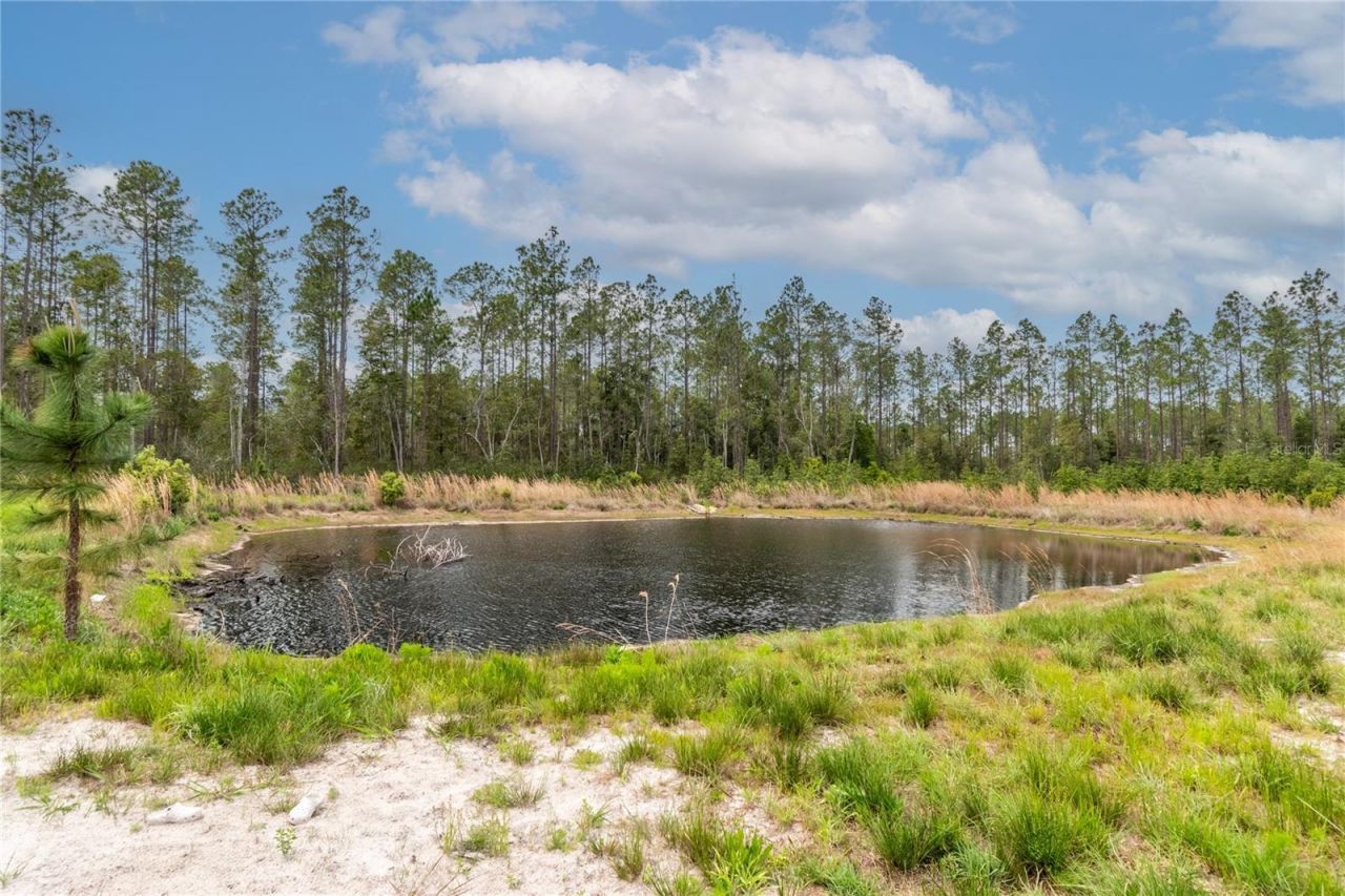12655 NE 215th Street, Fort Mc Coy, FL 32134 Photo