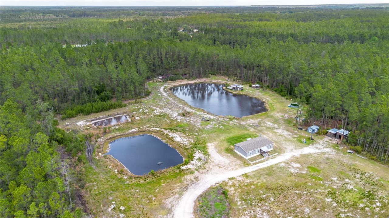 12655 NE 215th Street, Fort Mc Coy, FL 32134 Photo