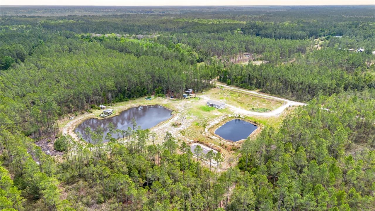 12655 NE 215th Street , Fort Mc Coy, FL 32134 Photo