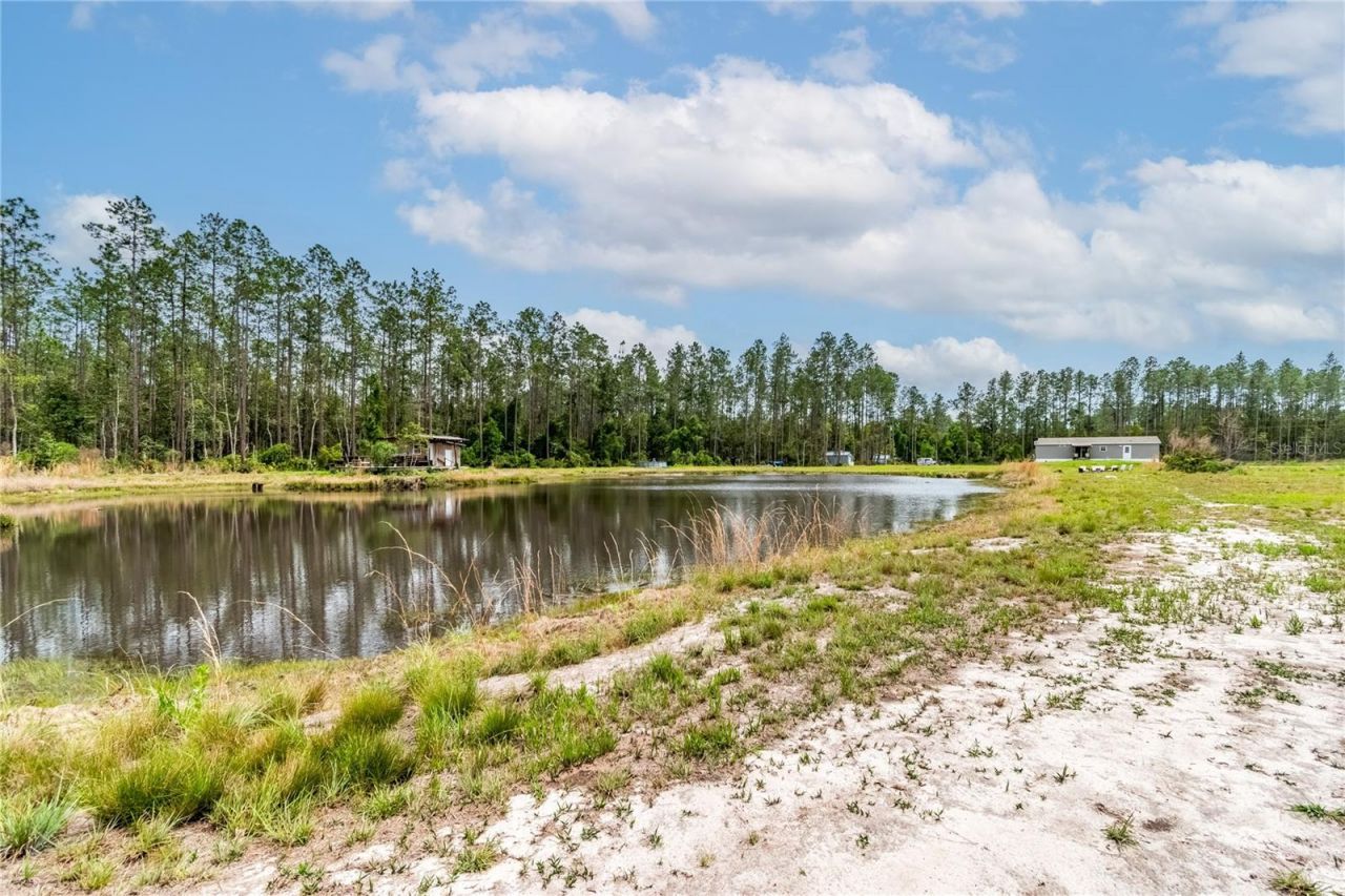 12655 NE 215th Street, Fort Mc Coy, FL 32134 Photo